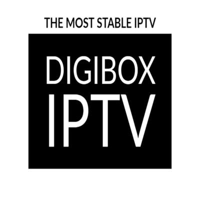 2024 Digibox Smart Android 12 TV Box Quad Core 6K 4K HD Stream Player